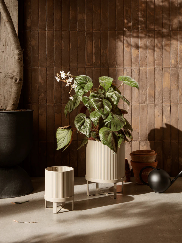 Bau Pot - Small - Cashmere