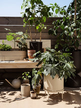 Bau Pot - Large - Cashmere