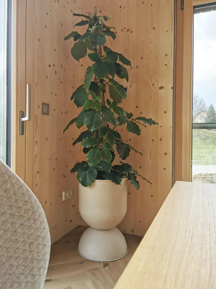 Hourglass Pot - Medium - Cashmere