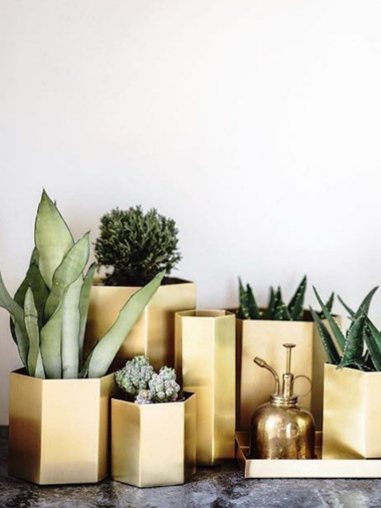 Hexagon Pot - Large - Brass