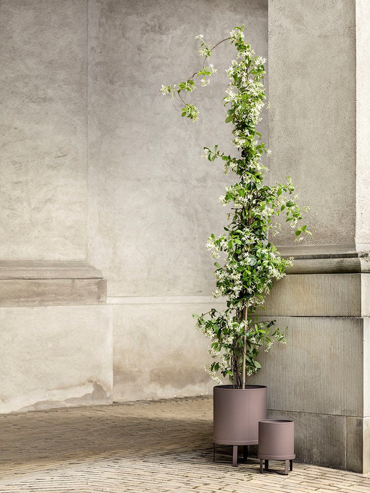 Bau Pot - Small - Dusty Rose