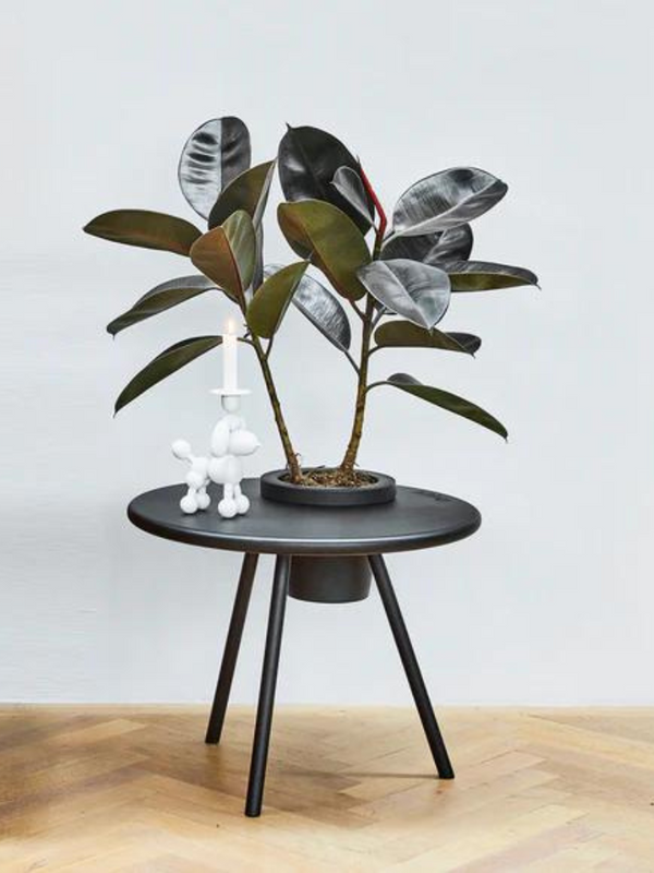 Bakkes Anthracite